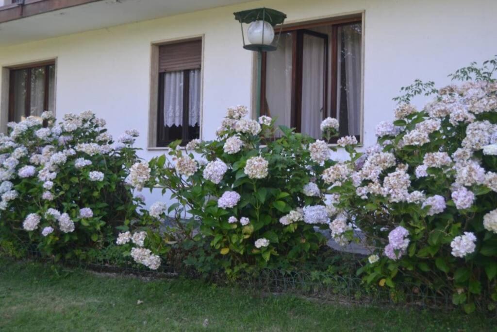 Villa Immersa Nel Verde A 兰策伊泰尔维 外观 照片